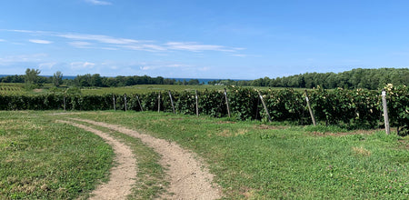 Chaddsford's Grape Growers: Family-Run Farms in Pennsylvania + New York